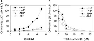 Toxicity and Bioaccumulation of Copper in Phaeodactylum tricornutum Under Different Macronutrient Conditions